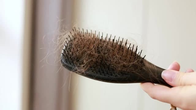 Escova de cabelo cheia de fios soltos, segurada por uma mão